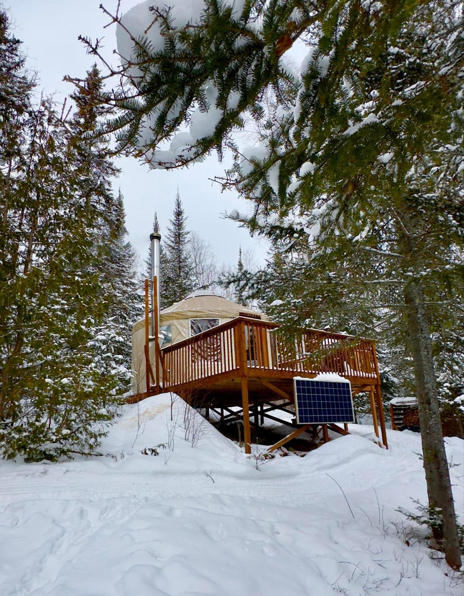 Les Racines Du P'Tit Isidore Rouyn Luaran gambar
